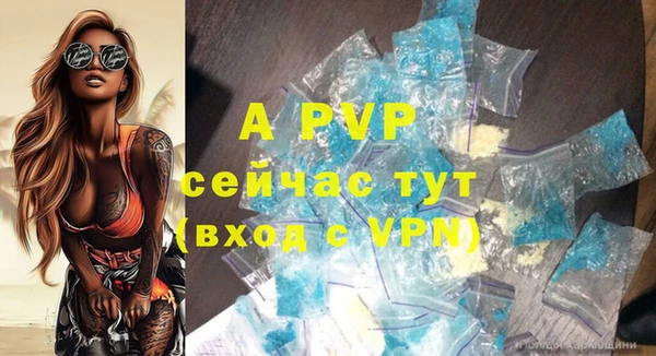 ешки Снежногорск