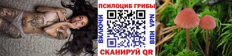 Галлюциногенные грибы мицелий  Нестеров 