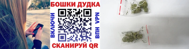 Бошки Шишки сатива наркота блэк спрут ссылка Нестеров